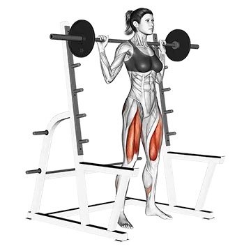 Barbell Full squat (with rack)