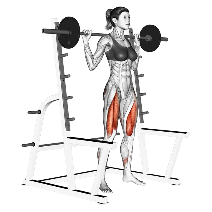 Barbell Full squat (with rack) exercise animation (Female)