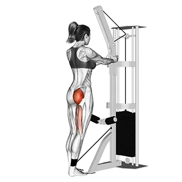Cable standing hip extension (version 2)