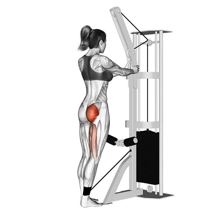 Cable standing hip extension (version 2) exercise animation (Female)