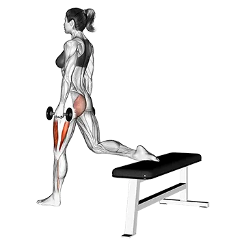 Dumbbell one leg squat