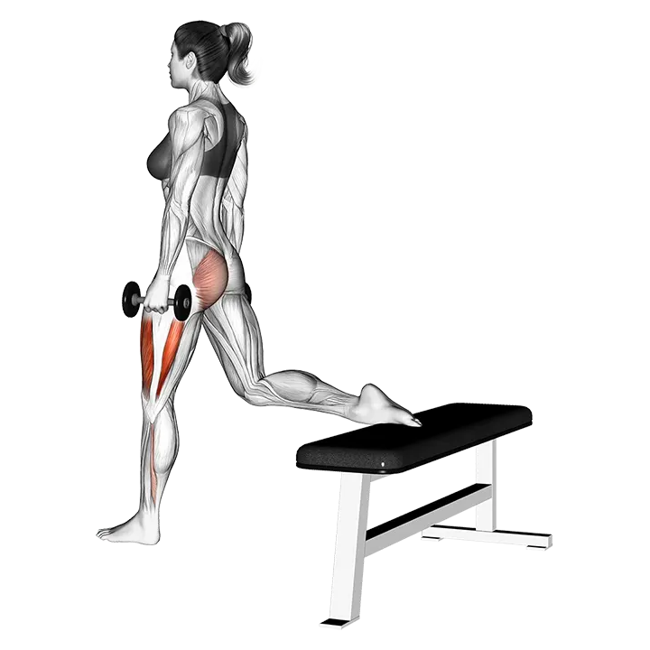 Dumbbell one leg squat exercise animation (Female)