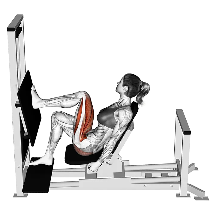 Lever Horizontal One leg Press exercise animation (Female)