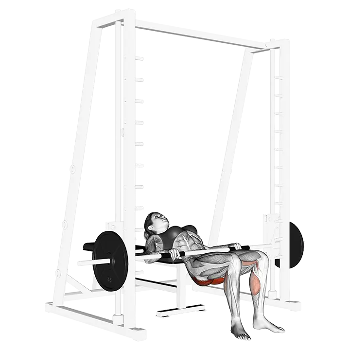 Smith lying lift (on hip) exercise animation (Female)