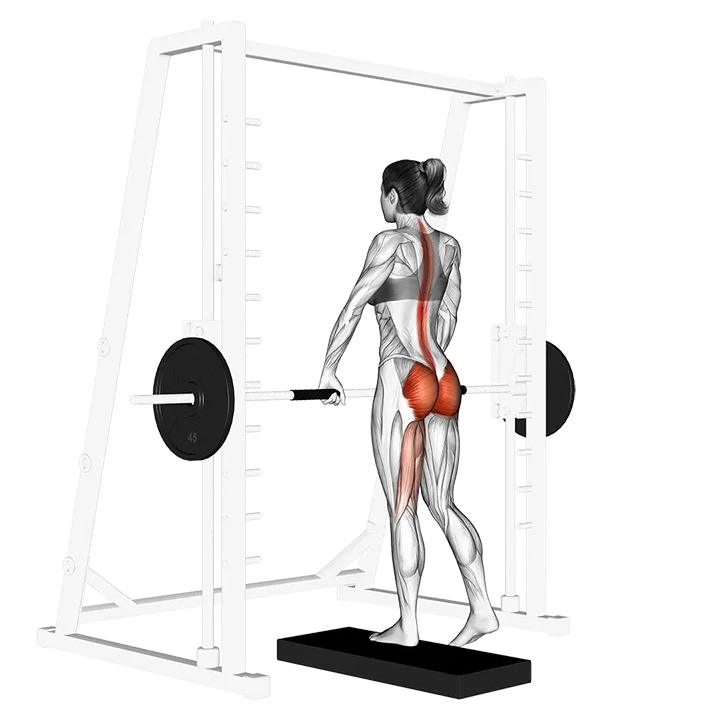 Smith One Leg Deadlift exercise animation (Mujer)