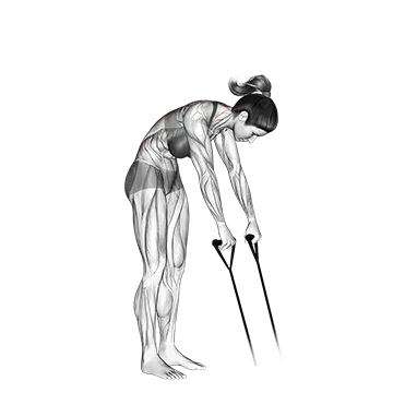 Band back extension