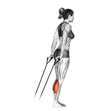 Band calf raise