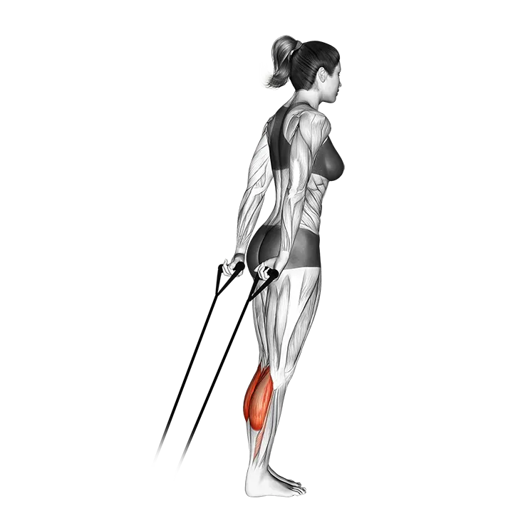 Band calf raise exercise animation (Female)