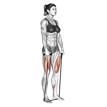 Band deadlift