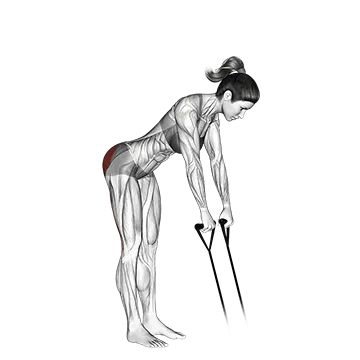 Band hip extension