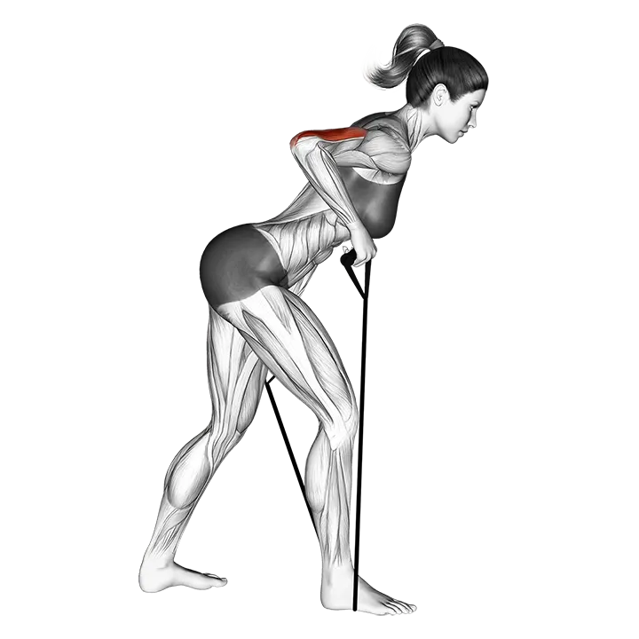 Band kickback exercise animation (Female)