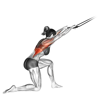 Band kneeling pulldown