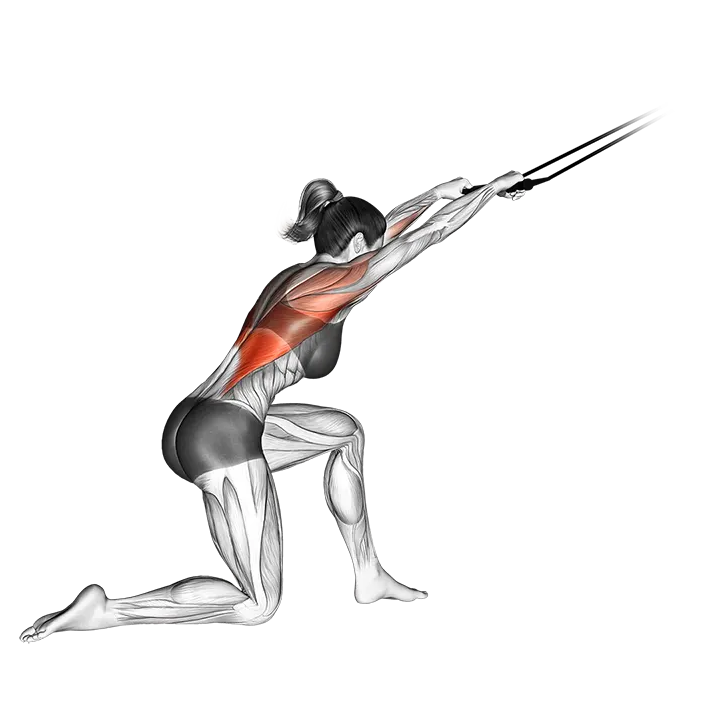 Band kneeling pulldown exercise animation (Female)