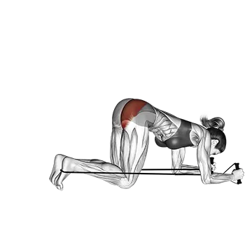 Band kneeling rear kick