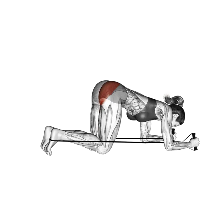 Band kneeling rear kick exercise animation (Female)