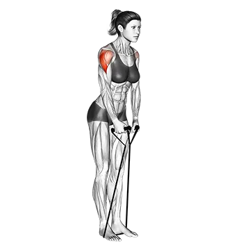 Band lateral raise