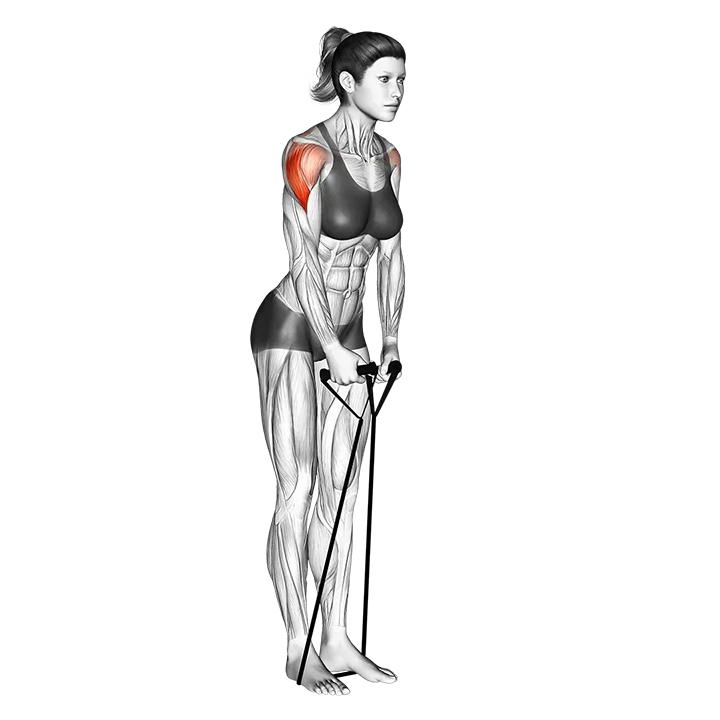 Band lateral raise exercise animation (Weiblich)