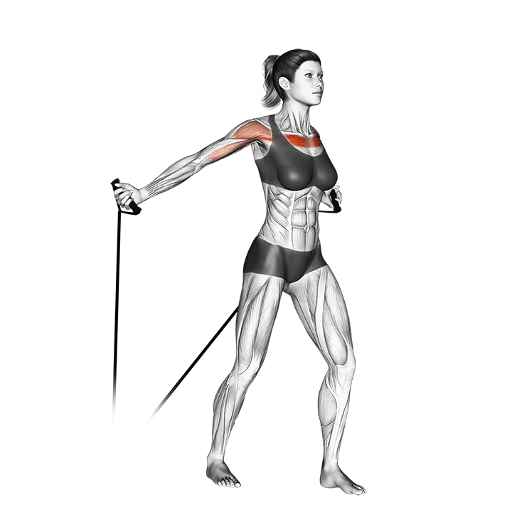 Band low fly exercise animation (Female)