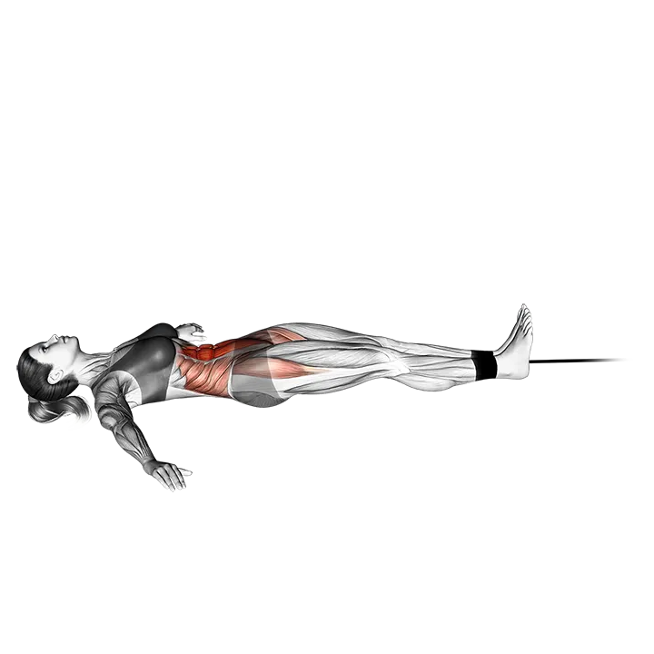 Band lying leg and hip raise exercise animation (Female)