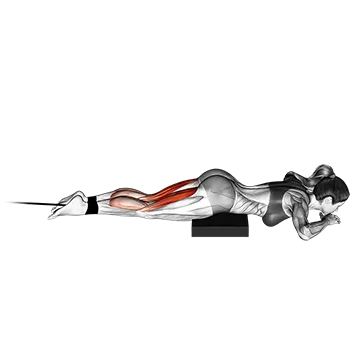 Band lying leg curl
