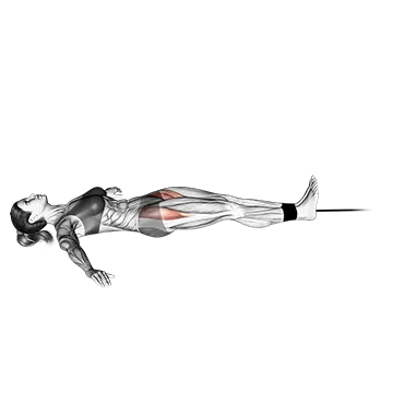Band lying leg raise