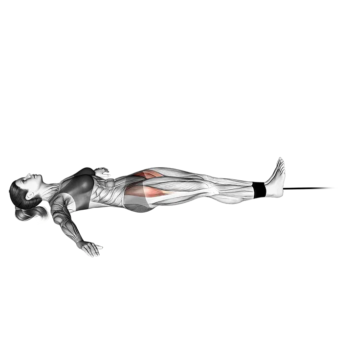Band lying leg raise exercise animation (Weiblich)