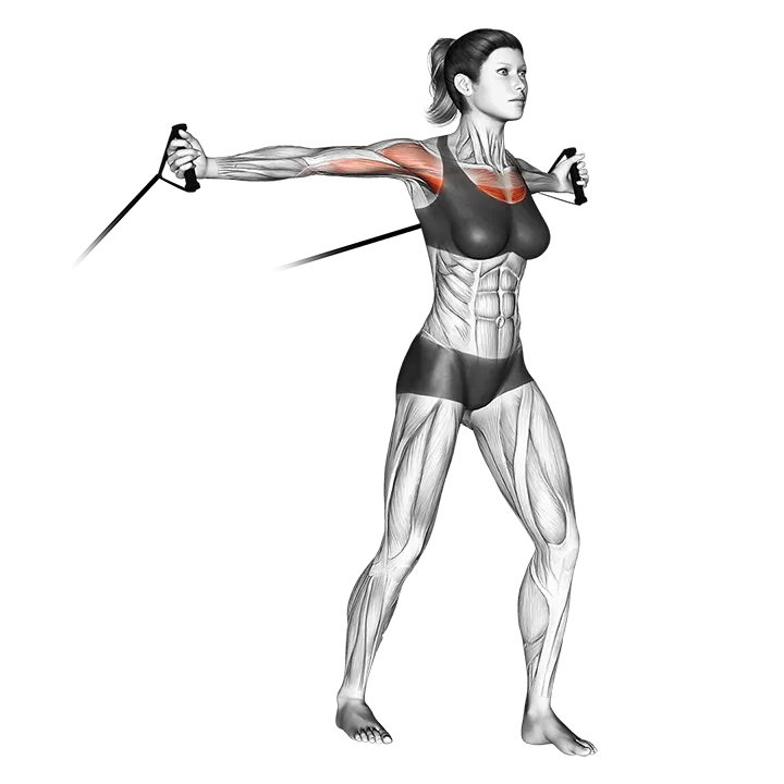 Band middle fly exercise animation (Female)