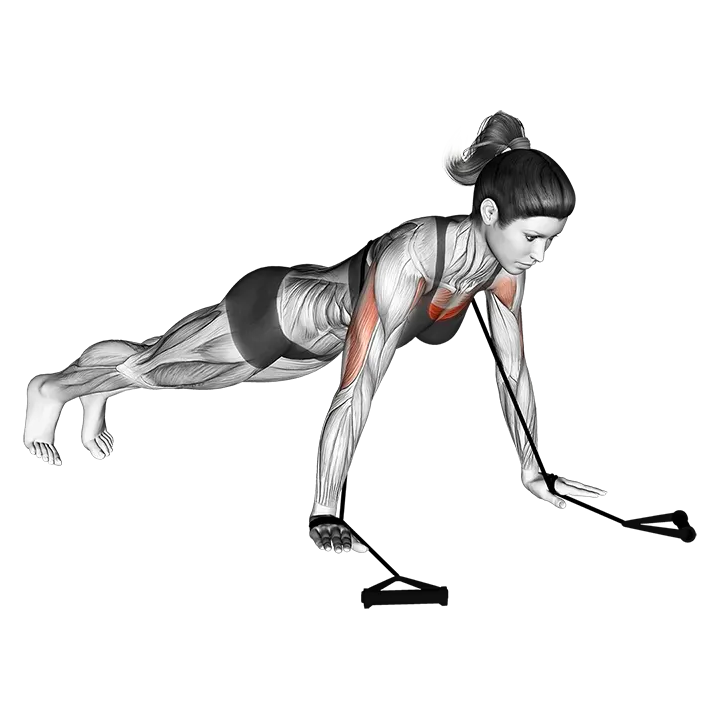 Band push-up exercise animation (Female)