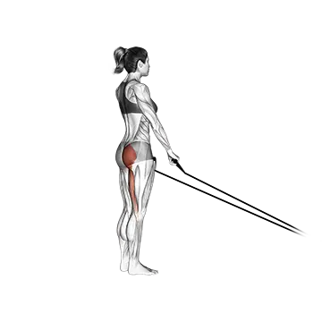 Band Single stiff leg deadlift
