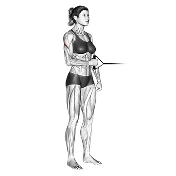 Band standing external shoulder rotation