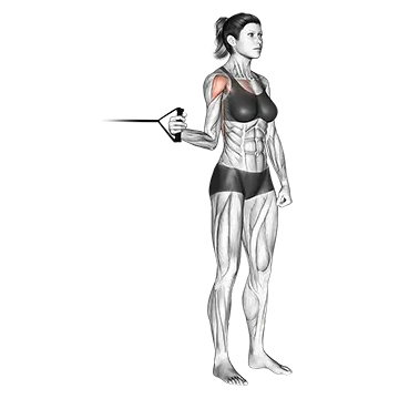 Band standing internal shoulder rotation