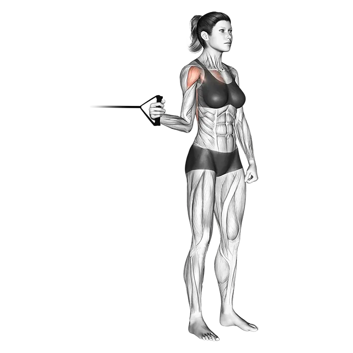 Band standing internal shoulder rotation exercise animation (Female)
