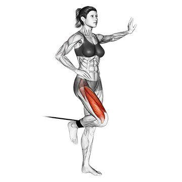Band standing leg extension