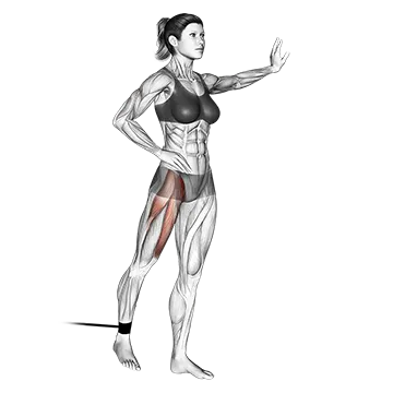 Band standing straight leg raise