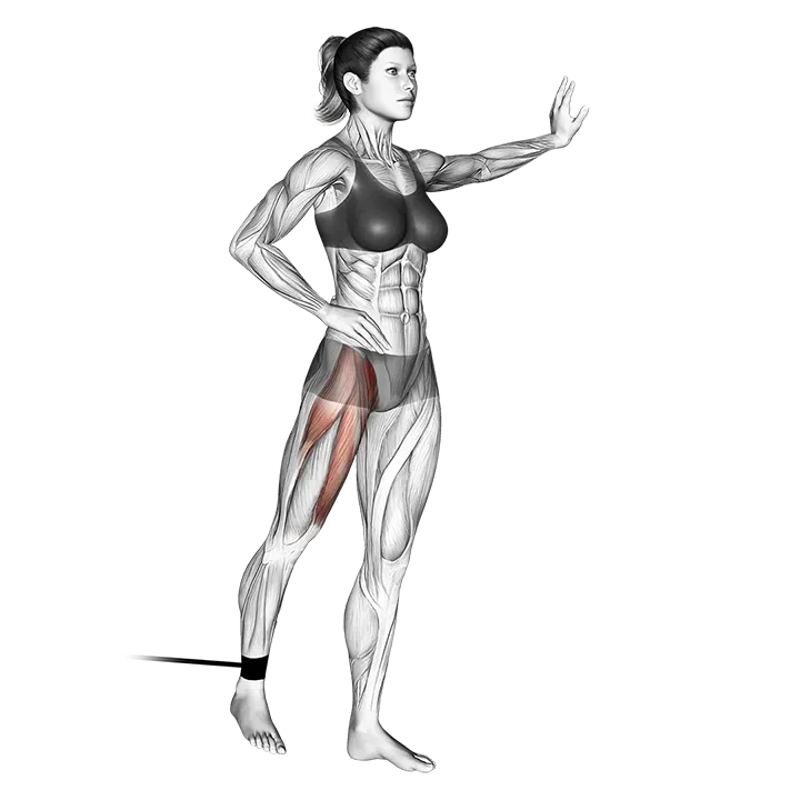 Band standing straight leg raise exercise animation (Female)