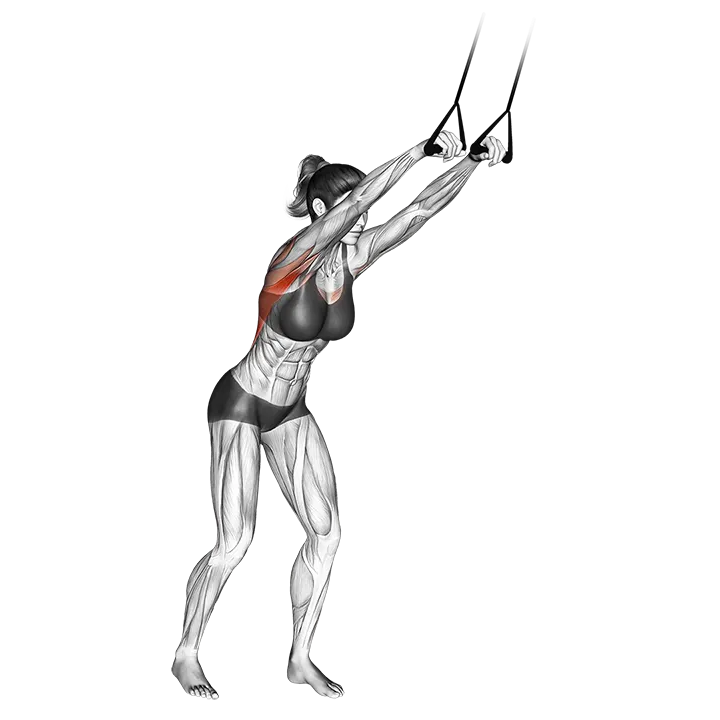 Band straight-arm pulldown exercise animation (Weiblich)