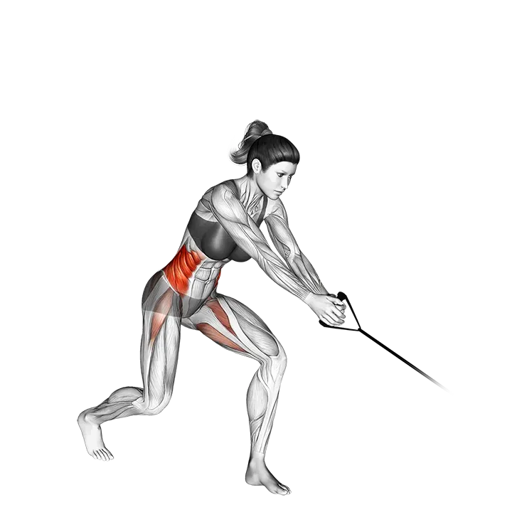 Band twist (down-up) exercise animation (Female)