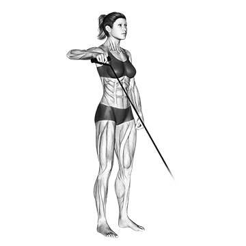 Band Upright Shoulder External Rotation