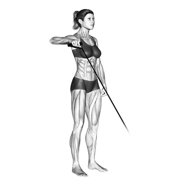 Band Upright Shoulder External Rotation exercise animation (Female)