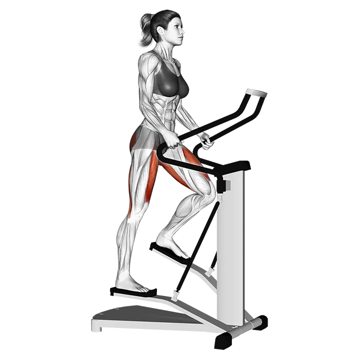 Lever Stepper exercise animation (Female)