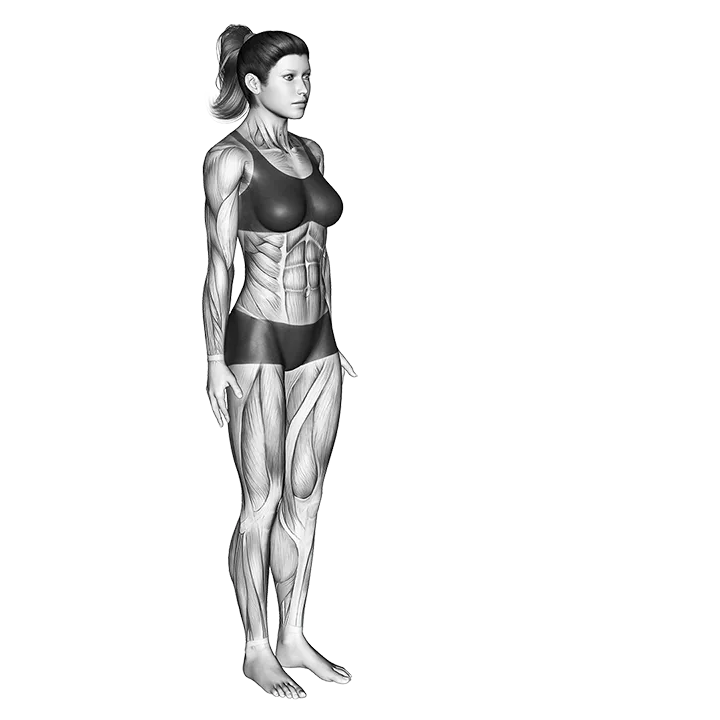 Chair Pose II Utkatasana II exercise animation (Female)