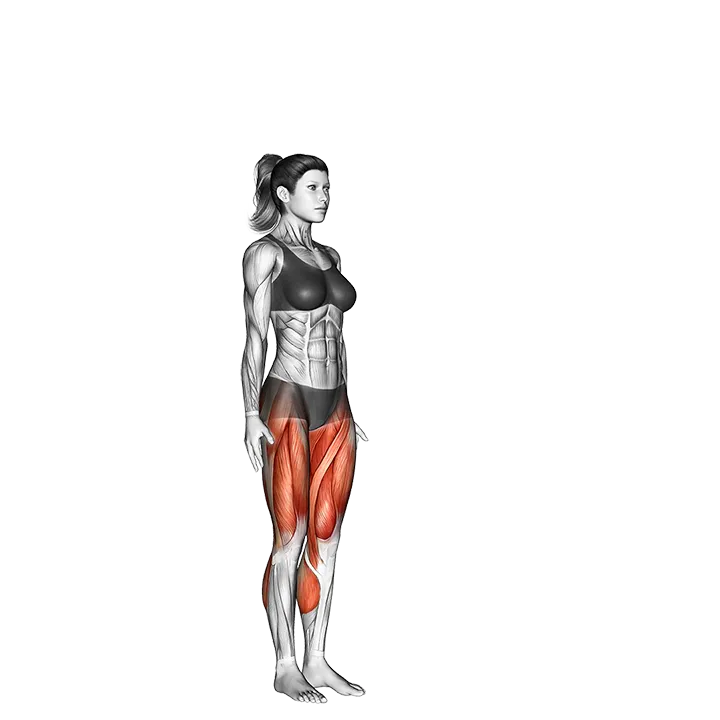 Chair Pose I Utkatasana I exercise animation (Female)