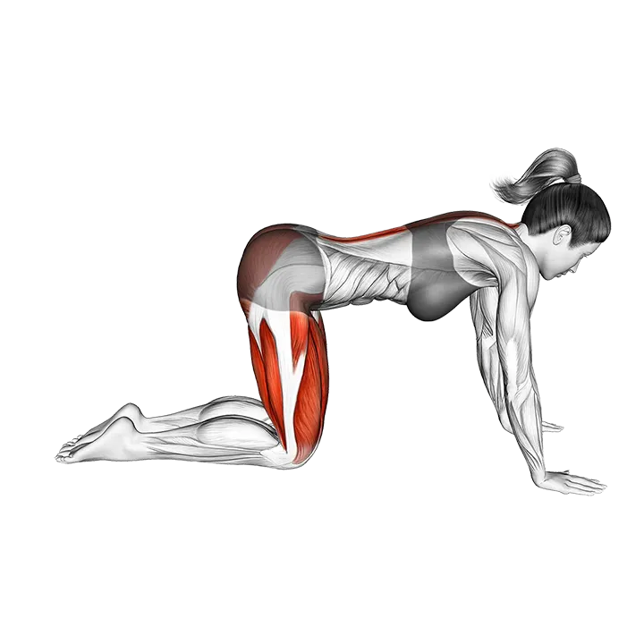 Child Pose exercise animation (Female)