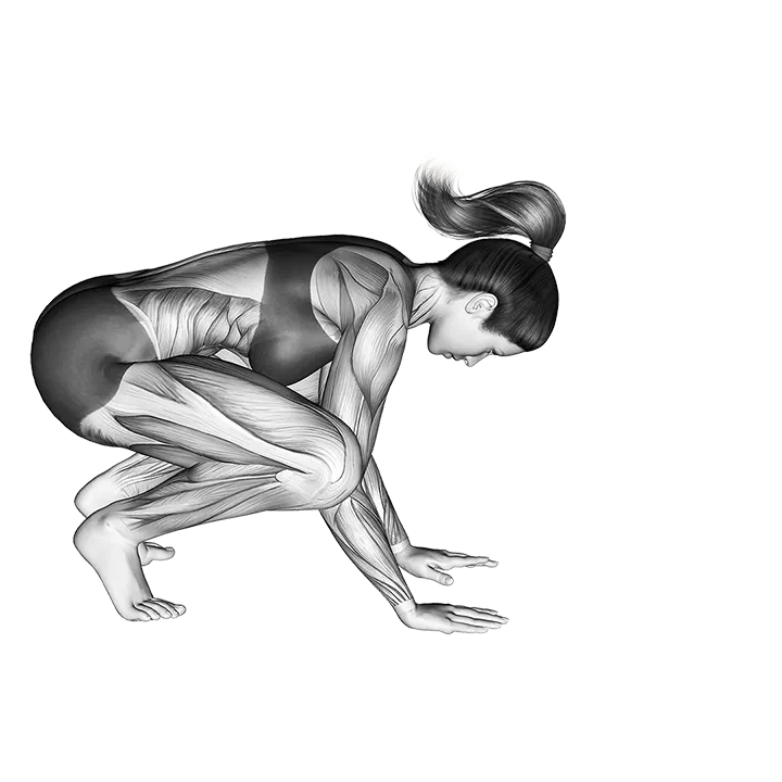 Crane Pose Bakasana exercise animation (Female)