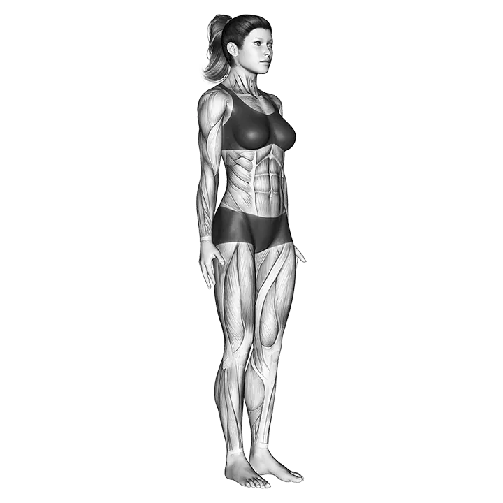 Default pose exercise animation (Female)
