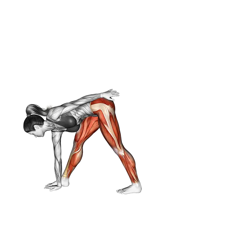 Half Moon Pose Ardha Chandrasana exercise animation (Female)