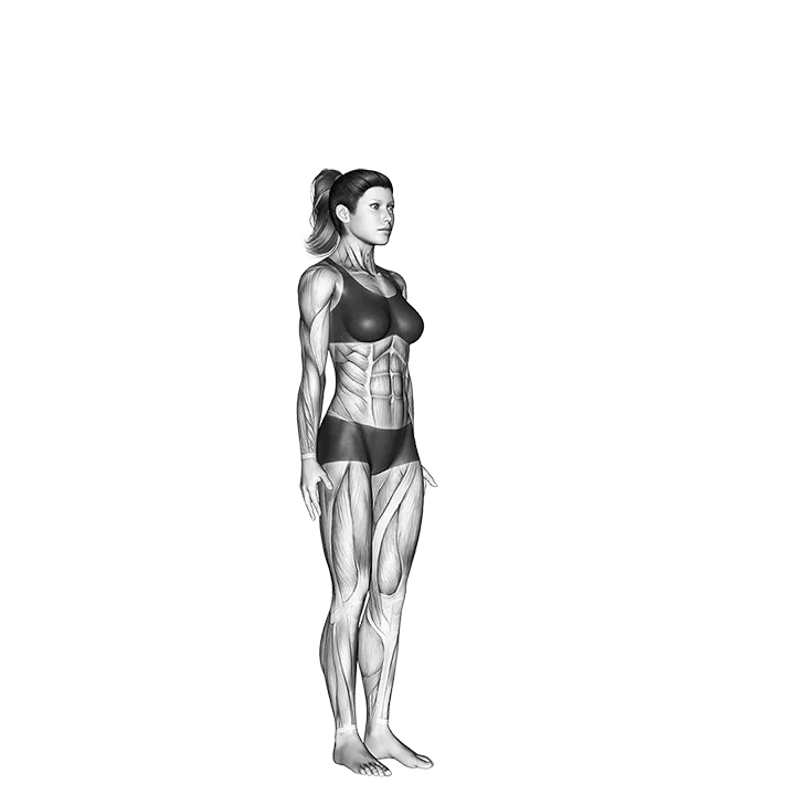 Hands to Feet Pada Hastasana exercise animation (Female)