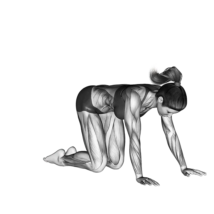 Hero Pose Virasana exercise animation (Female)
