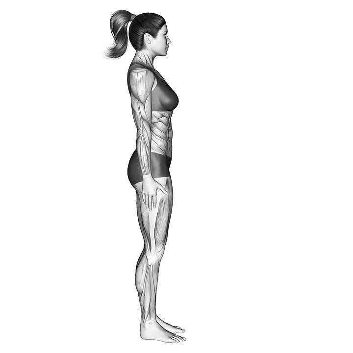 Standing Forward Bend Uttanasana exercise animation (Female)