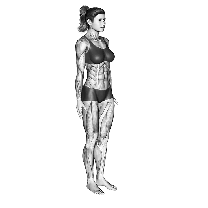 Stand Spread Leg Forward Fold exercise animation (Female)